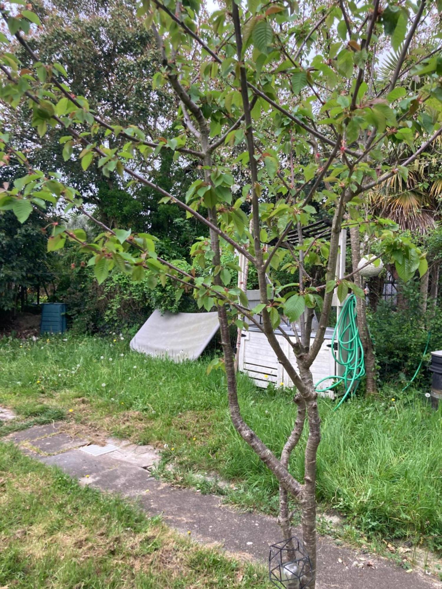 Maison De Campagne A La Ville Villeneuve-sur-Lot Esterno foto